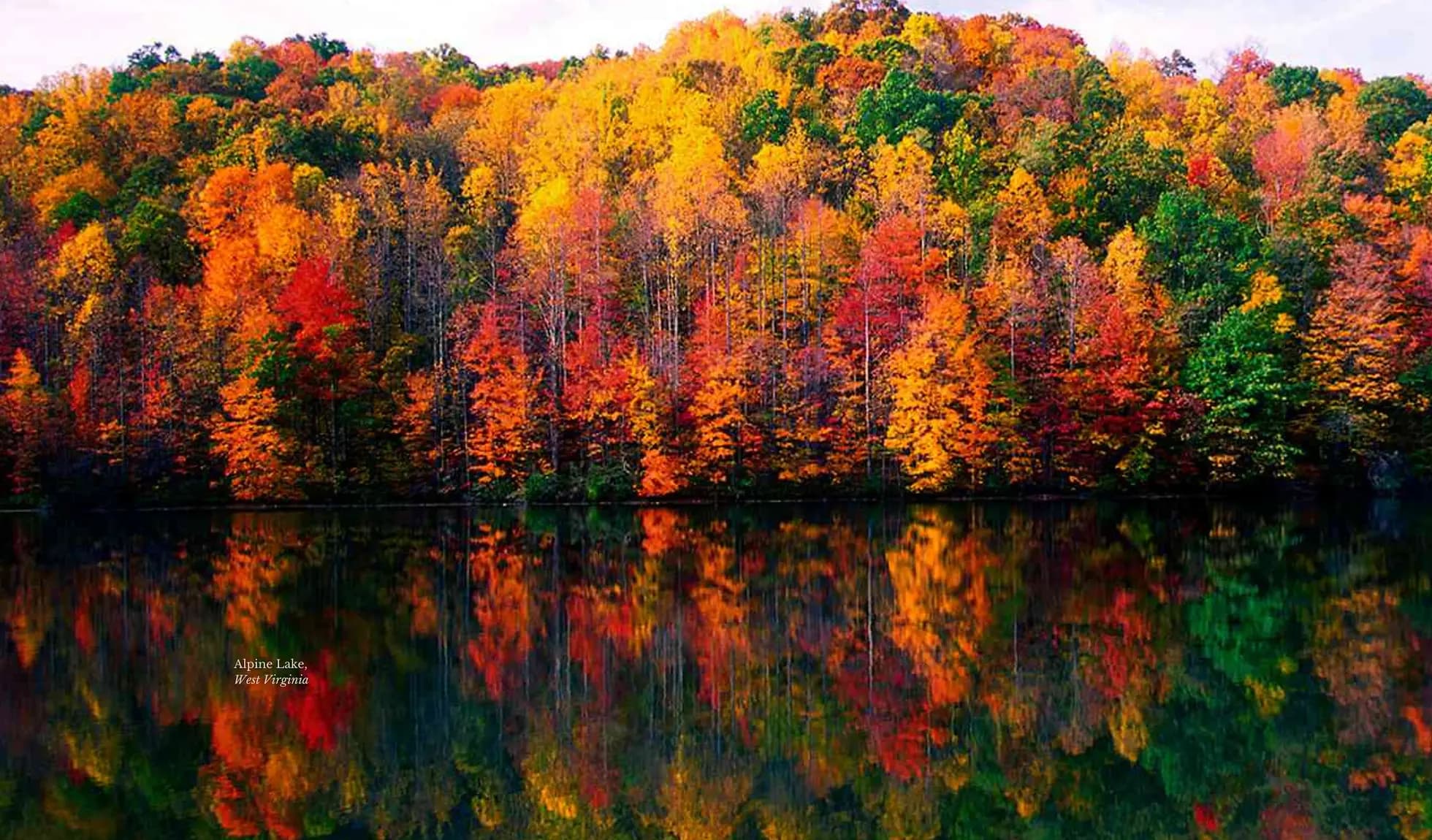 Autumn trees beautifully mirrored in calm water, creating a serene and picturesque scene